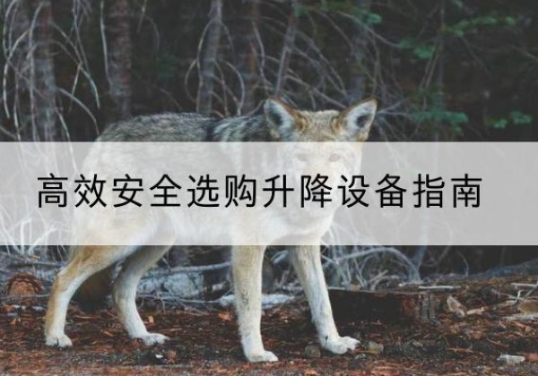 章贡升降货梯厂家推荐-*安全选购升降设备指南
