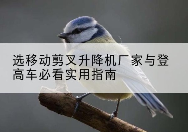 章贡电动升降机厂家-选移动剪叉升降机厂家与登高车必看实用指南