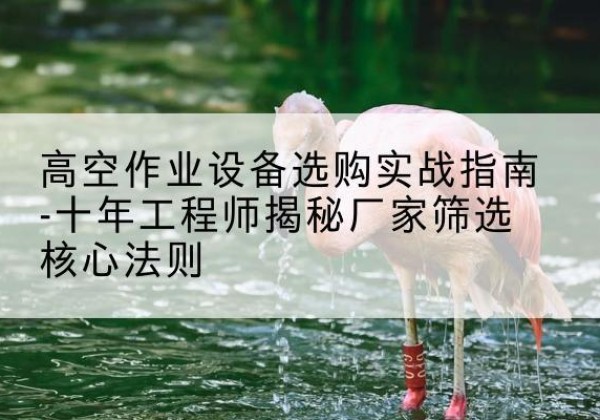 章贡剪叉式升降机厂家-高空作业设备选购实战指南-十年工程师揭秘厂家筛选核心法则